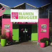 Blumen Brügger - LOGO