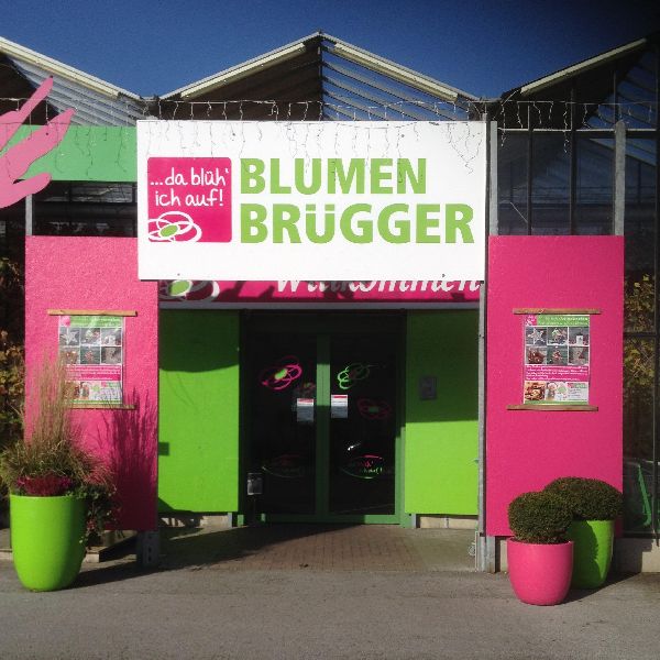 Blumen Brügger - LOGO