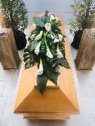 Blumen Buhl - GALLERY