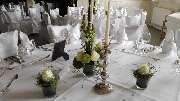 Blumen by Hellmys - GALLERY