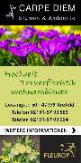 Blumen Carpe Diem - GALLERY