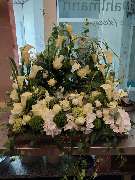 Blumen Dahlmann - 17