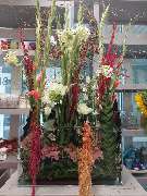 Blumen Dahlmann - 18