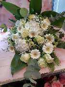 Blumen Dahlmann - 27