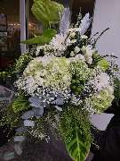 Blumen Dahlmann - 28