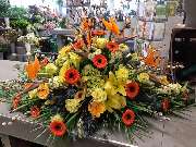 Blumen Dahlmann - 29