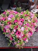 Blumen Dahlmann - 3