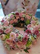 Blumen Dahlmann - 30