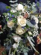 Blumen Dahlmann - 32