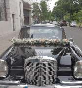 Blumen Dahlmann - 33