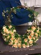 Blumen Dahlmann - 34