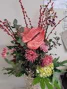 Blumen Dahlmann - 36