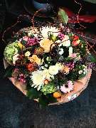 Blumen Dahlmann - 5