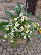 Blumen Dahlmann - 7