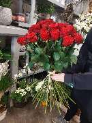 Blumen Dahlmann - 9