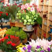 Blumen & Dekoration | Rita Roth | München - Blütenzauber Blumenladen | Rita Roth  | München