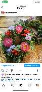 Blumen & Dekoration | Rita Roth | München - Blumen & Dekoration | Blumenstrauß & Blumenkranz | Rita Roth | München