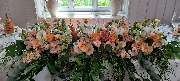 Blumen & Dekoration | Rita Roth | München - Blumen & Dekoration | Blumenstrauß & Blumenkranz | Rita Roth | München