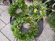 Blumen & Dekoration | Rita Roth | München - Blumen & Dekoration | Blumenstrauß & Blumenkranz | Rita Roth | München