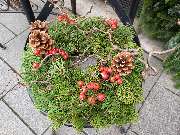 Blumen & Dekoration | Rita Roth | München - Blumen & Dekoration | Blumenstrauß & Blumenkranz | Rita Roth | München