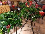 Blumen & Dekoration | Rita Roth | München - Blumen & Dekoration | Blumenstrauß & Blumenkranz | Rita Roth | München