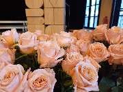 Blumen & Dekoration | Rita Roth | München - Blumen & Dekoration | Blumenstrauß & Blumenkranz | Rita Roth | München