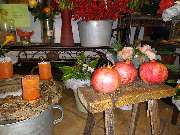 Blumen & Dekoration | Rita Roth | München - Blumen & Dekoration | Blumenstrauß & Blumenkranz | Rita Roth | München