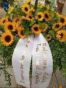 Blumen & Dekoration | Rita Roth | München - Blumen & Dekoration | Blumenstrauß & Blumenkranz | Rita Roth | München