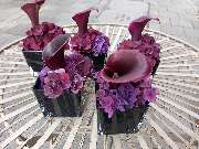 Blumen & Dekoration | Rita Roth | München - Blumen & Dekoration | Blumenstrauß & Blumenkranz | Rita Roth | München