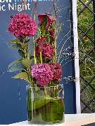 Blumen & Dekoration | Rita Roth | München - Blumen & Dekoration | Blumenstrauß & Blumenkranz | Rita Roth | München