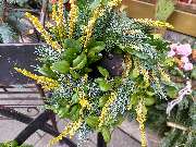 Blumen & Dekoration | Rita Roth | München - Blumen & Dekoration | Blumenstrauß & Blumenkranz | Rita Roth | München