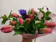 Blumen & Dekoration | Rita Roth | München - Blumen & Dekoration | Blumenstrauß & Blumenkranz | Rita Roth | München