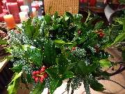 Blumen & Dekoration | Rita Roth | München - Blumen & Dekoration | Blumenstrauß & Blumenkranz | Rita Roth | München