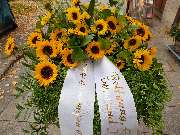 Blumen & Dekoration | Rita Roth | München - Blumen & Dekoration | Blumenstrauß & Blumenkranz | Rita Roth | München