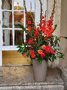 Blumen & Dekoration | Rita Roth | München - Blumen & Dekoration | Rita Roth | München