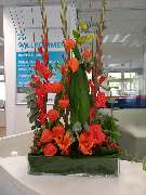 Blumen & Dekoration | Rita Roth | München - Blumen & Dekoration | Rita Roth | München