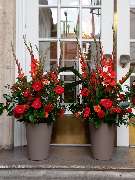 Blumen & Dekoration | Rita Roth | München - Blumen & Dekoration | Rita Roth | München