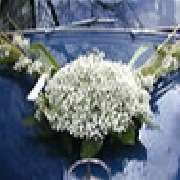 Blumen & Dekoration | Rita Roth | München - Hochzeits-Autoschmuck Blumenladen | Rita Roth  | München