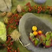 Blumen & Dekoration | Rita Roth | München - Steine und mehr Blumenladen | Rita Roth  | München