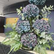 Blumen Dornröschen GmbH - GALLERY