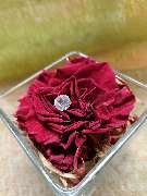 Blumen-Ecke Romana Hoss - GALLERY