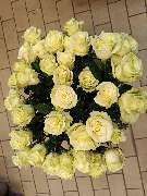 Blumen-Ecke Romana Hoss - GALLERY