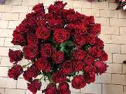 Blumen-Ecke Romana Hoss - GALLERY