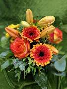 Blumen-Ecke Romana Hoss - GALLERY