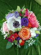 Blumen-Ecke Romana Hoss - GALLERY