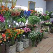 Blumen Eder - GALLERY