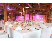 BLUMEN ELSPERGER - WEISS GbR - GALLERY