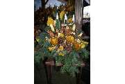 Blumen Floristik für jeden Anlass - GALLERY