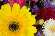 Blumen Frick - Blumenladen