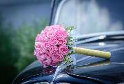 Blumen Geidies - GALLERY